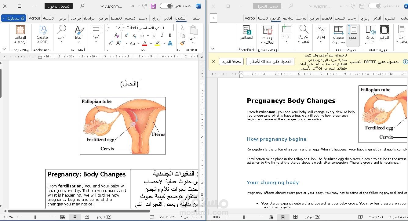 ترجمة ملف من اللغة الانجليزية للعربية