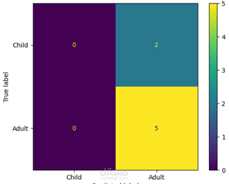 Bone age assessment