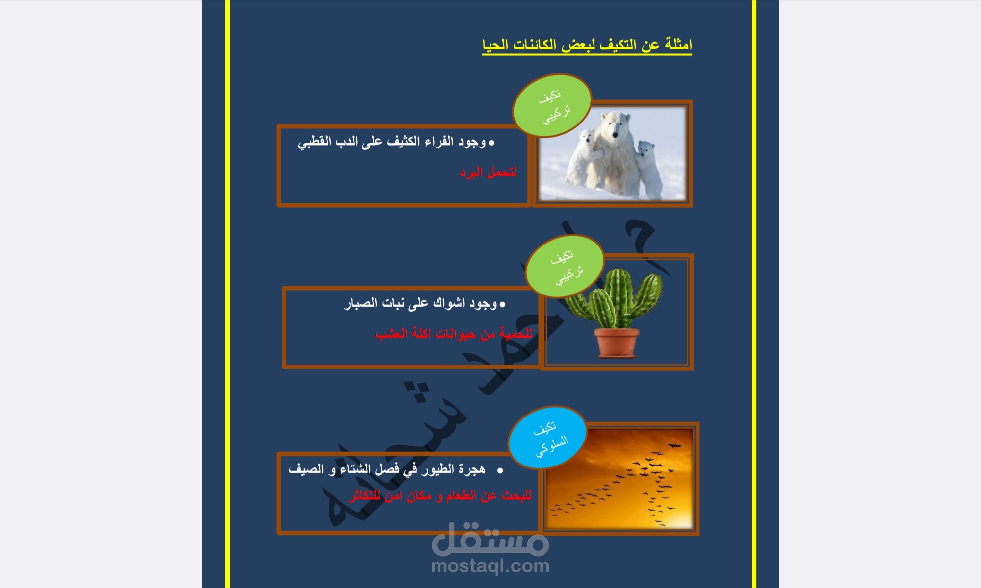 ملخص التكيف للصف السادس الابتدائي