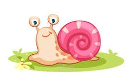 snail