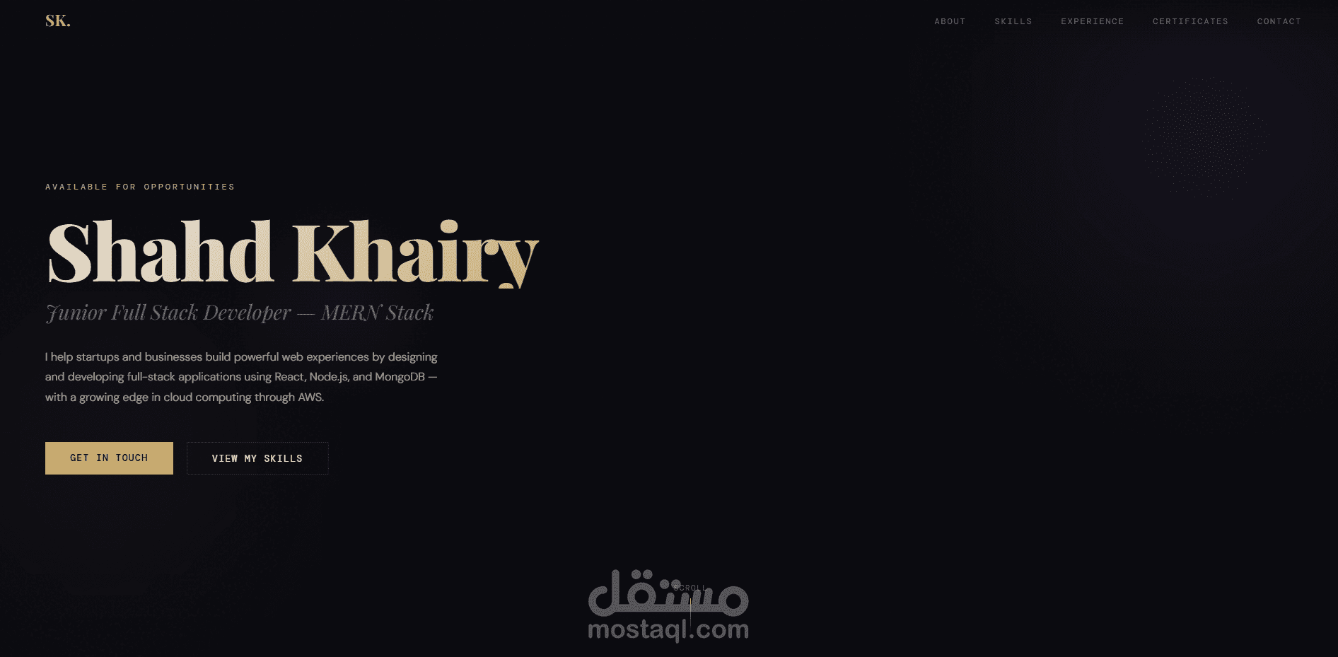 Responsive Developer Portfolio Website