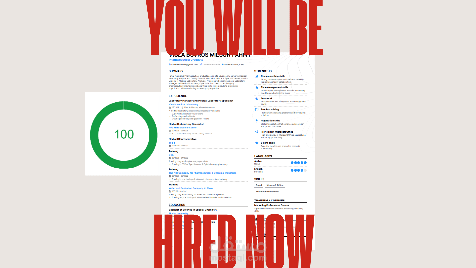 كتابة سيره ذاتيه CV احترافي (انجليزي و عربي متاح الاثنين معاً) مطابق لنظام ATS