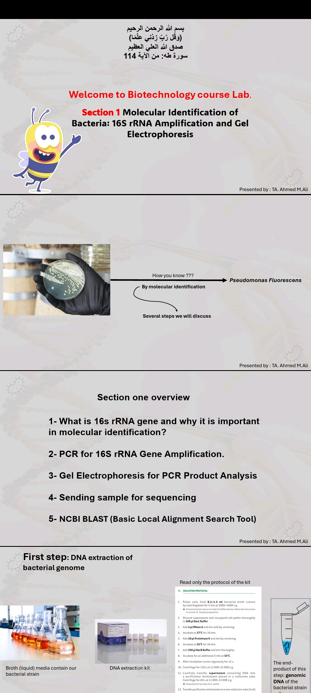 تصميم عرض تقديمي عن التكنولوجيا الحيوية