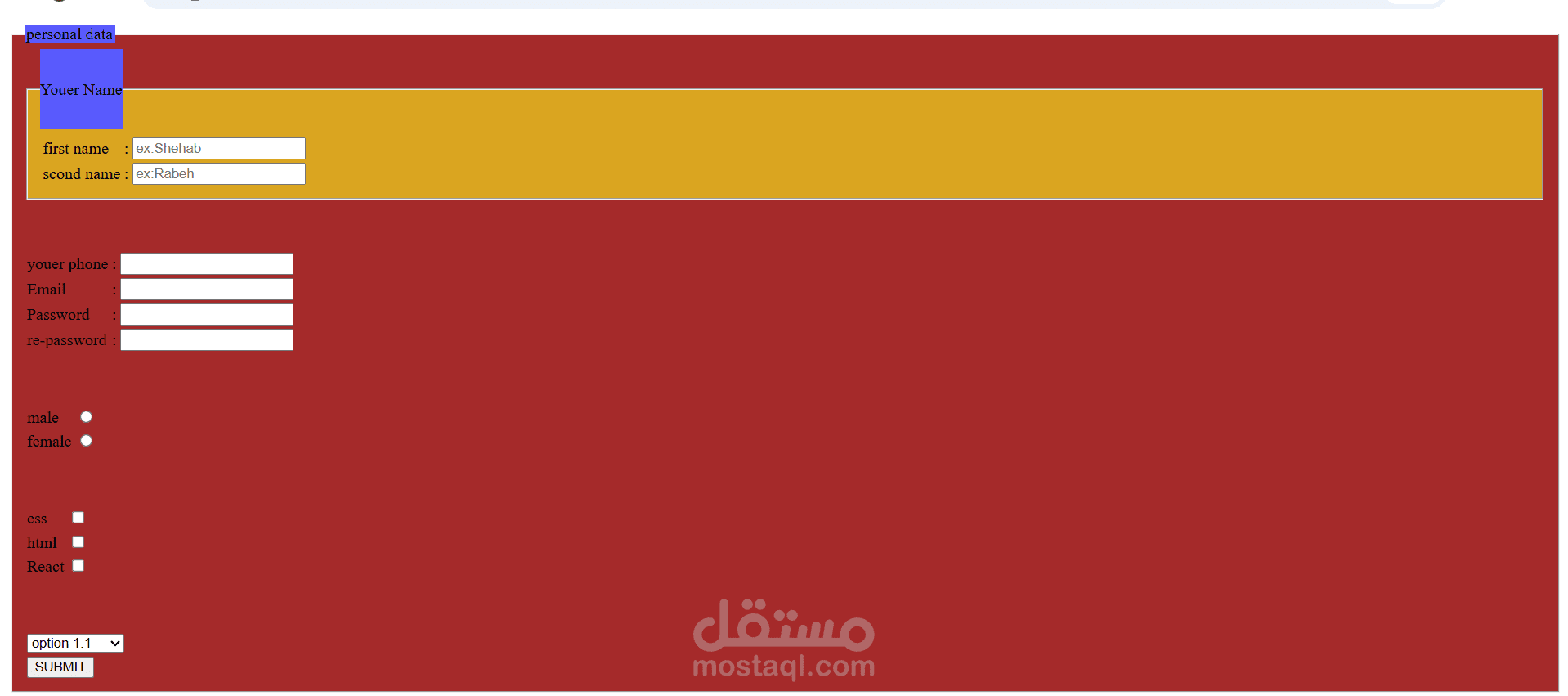 Comprehensive HTML5 Registration & Profile Form