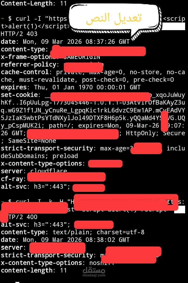 فحص أمني وتدقيق ثغرات الويب (Manual Testing)