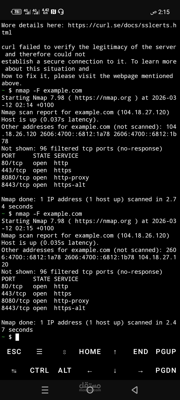 فحص أمني وتدقيق ثغرات الويب (Manual Testing)