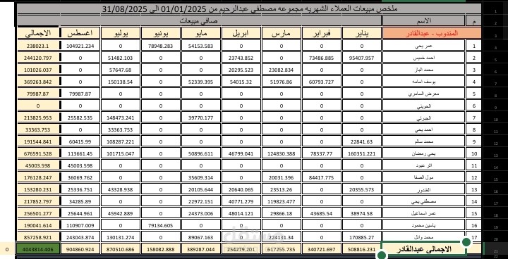 تنظيم وتحليل البيانات باستخدام Excel