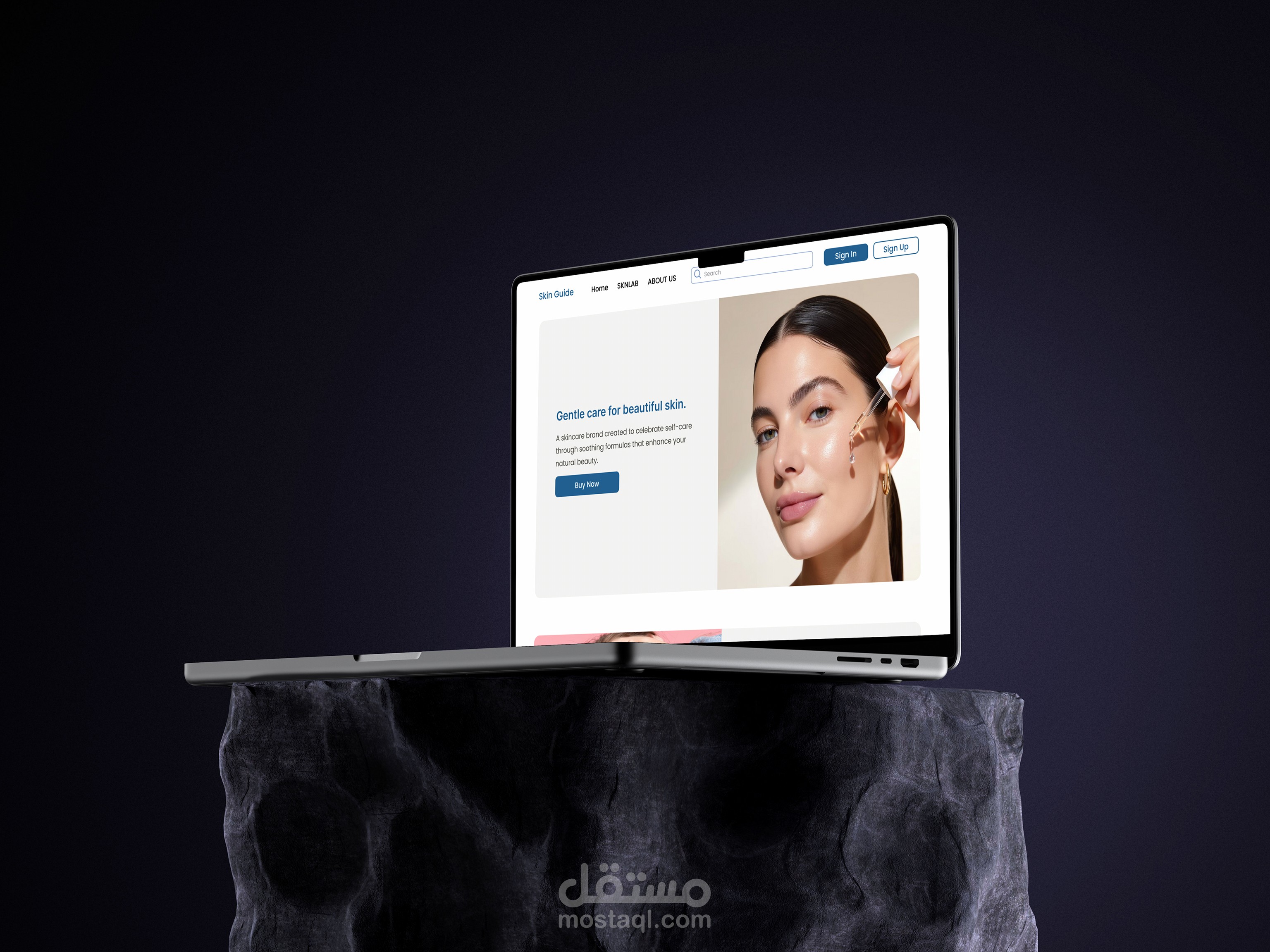 تصميم لصفحه هبوط (Skin Guide)