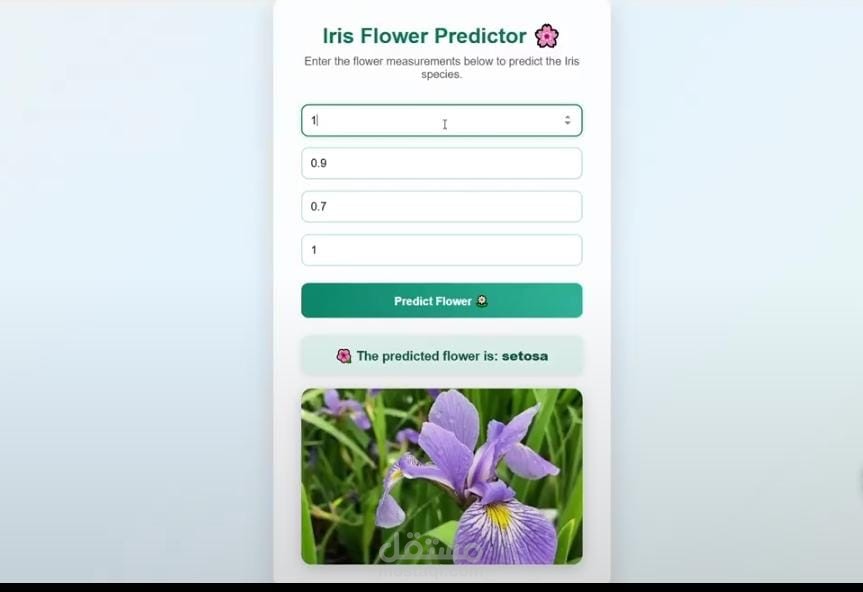 Machine learning web app