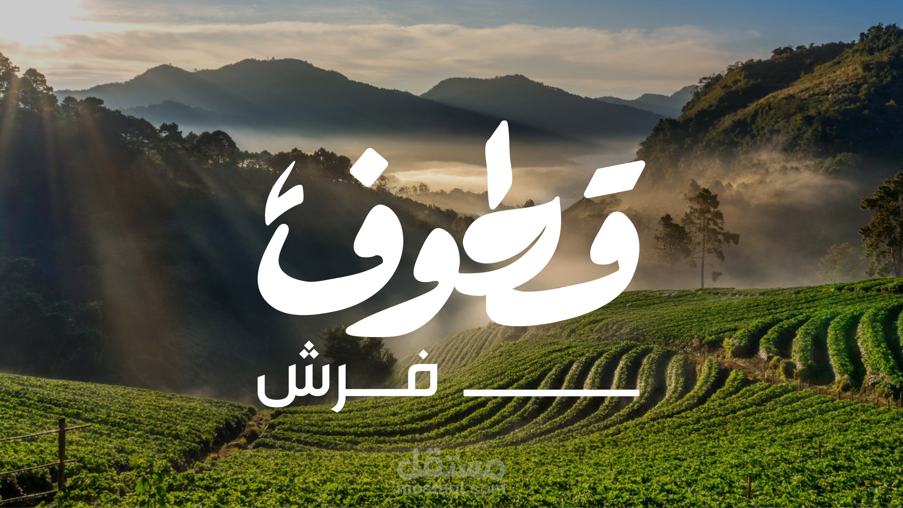 تصميم هوية متكاملة لشركة قطوف