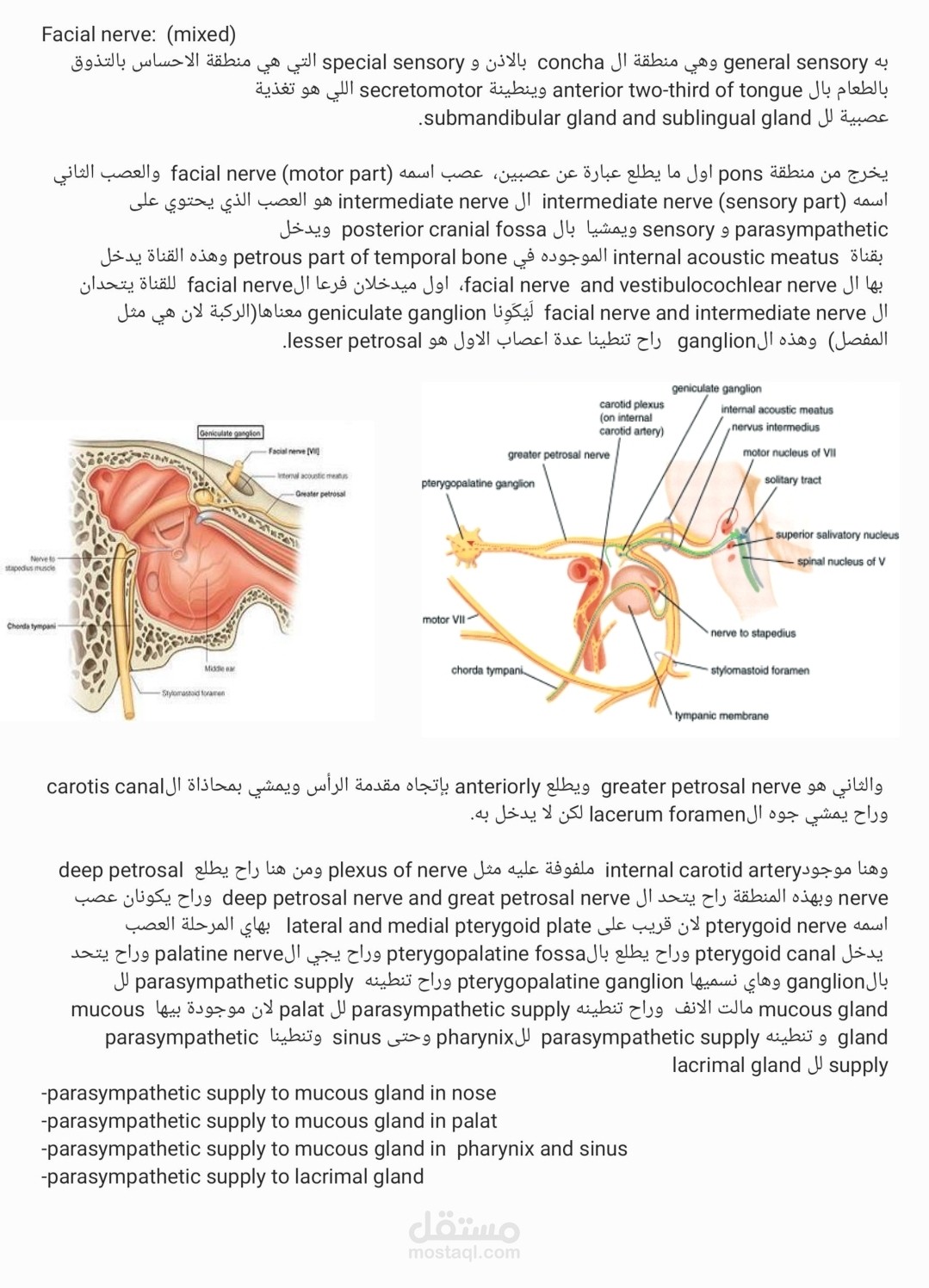 قمت بتفريغ فيديو يشرح تشريح العصب الوجهي لكنني لم اكمل الغلاف بعد