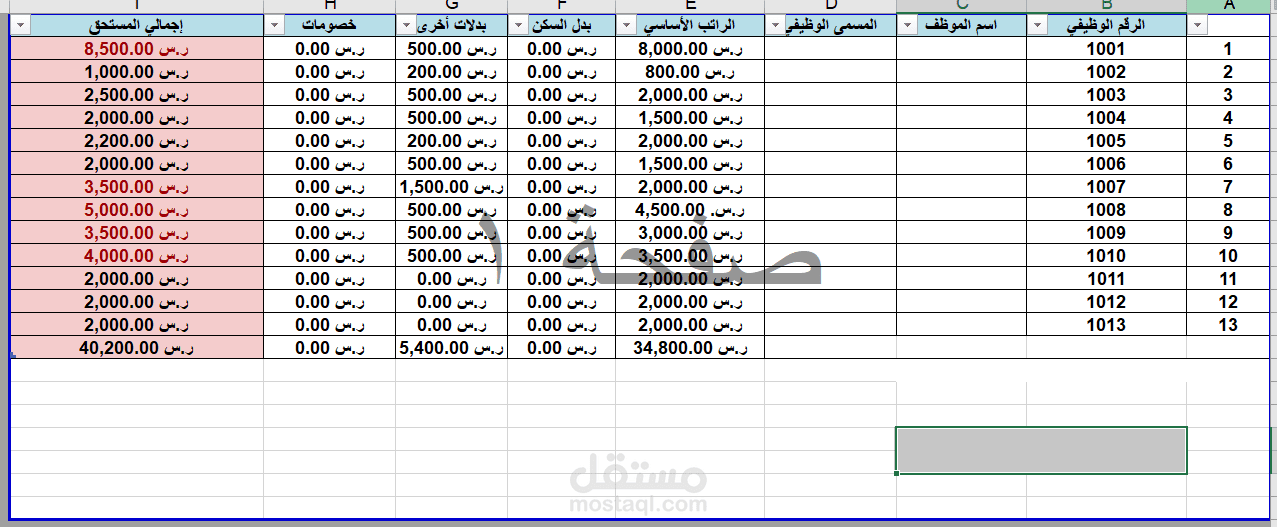 إعداد ملفات الرواتب الشهرية