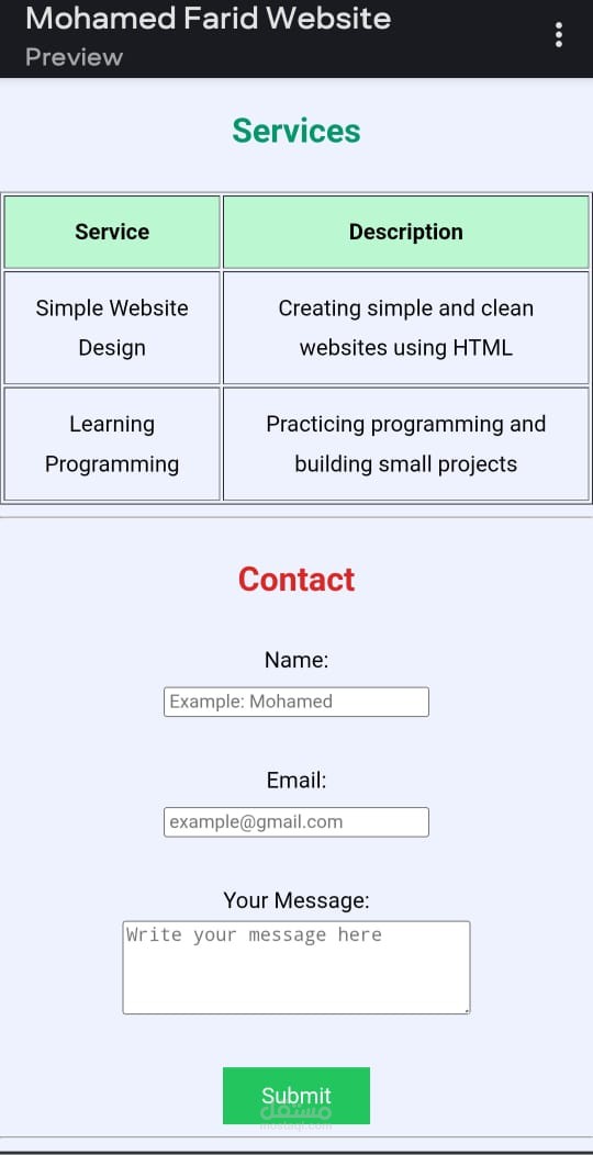 translator and programmer
