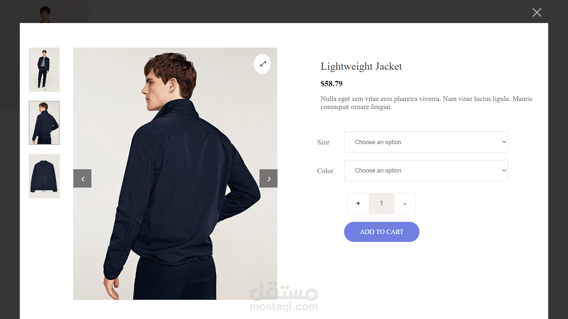 Modal-Product Details window
