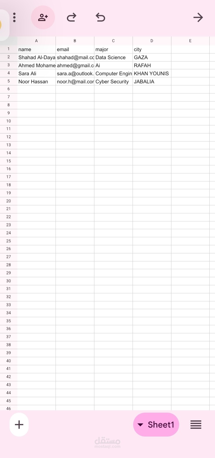 Python Script for Automated Data Formatting and Excel Export