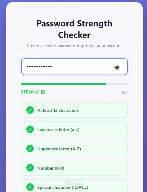 Password Strength Checker Web Tool