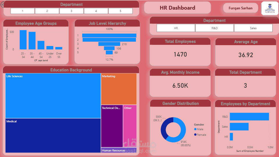 HR Demographics & Education Analysis
