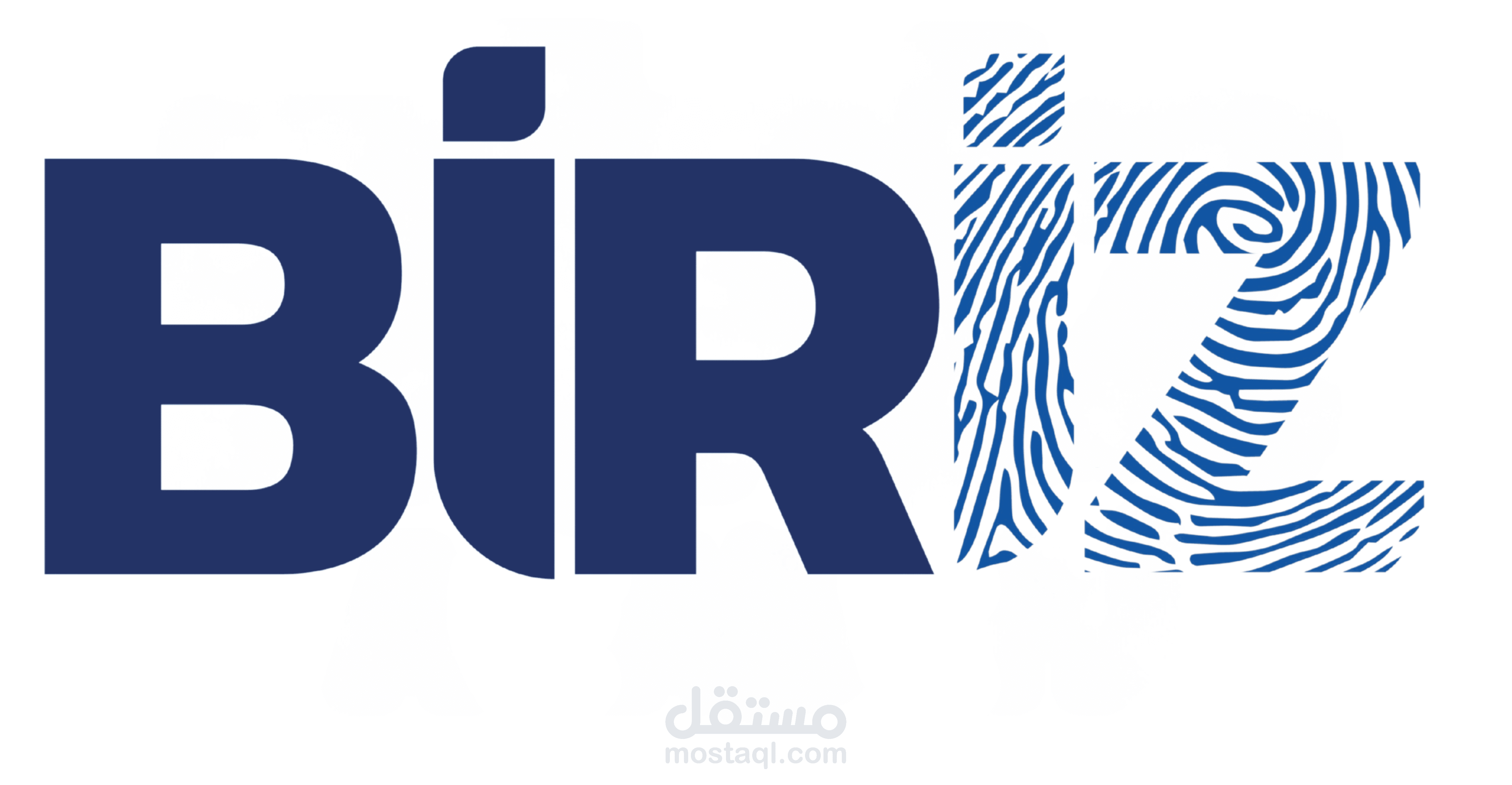 biriz academy