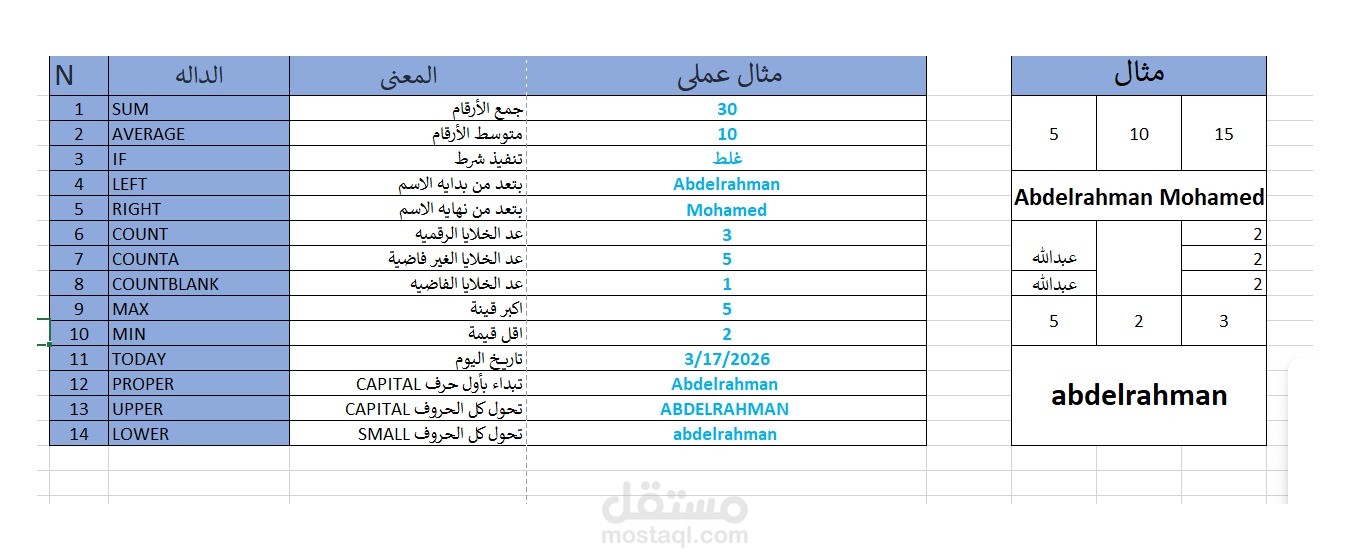 تنظيم وإدخال بيانات باستخدام Excel