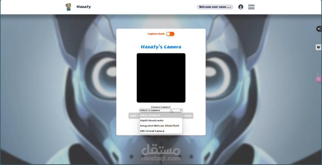 AI Emotion Detection from Facial Images