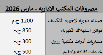 نموذج تنظيم وإدارة المصروفات الإدارية والمراجعة المالية