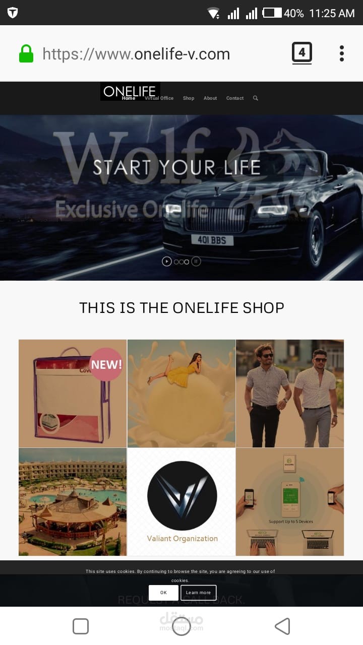 شبكة تسويق تجارية