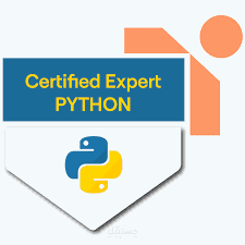 python expert