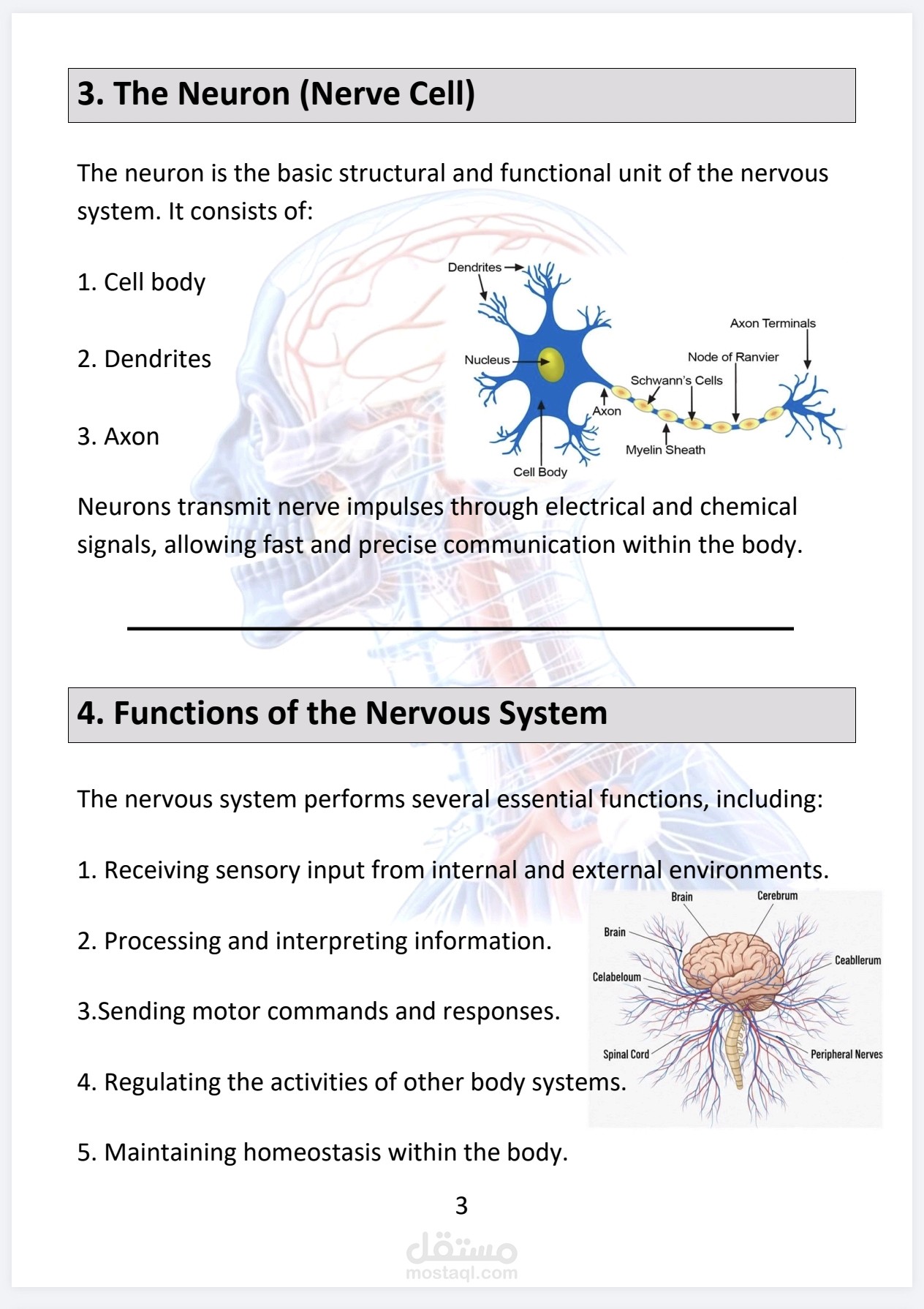 نموذج تنسيق تقرير علمي متكامل ( ٧ صفحات) مع الرسوم التوضيحية
