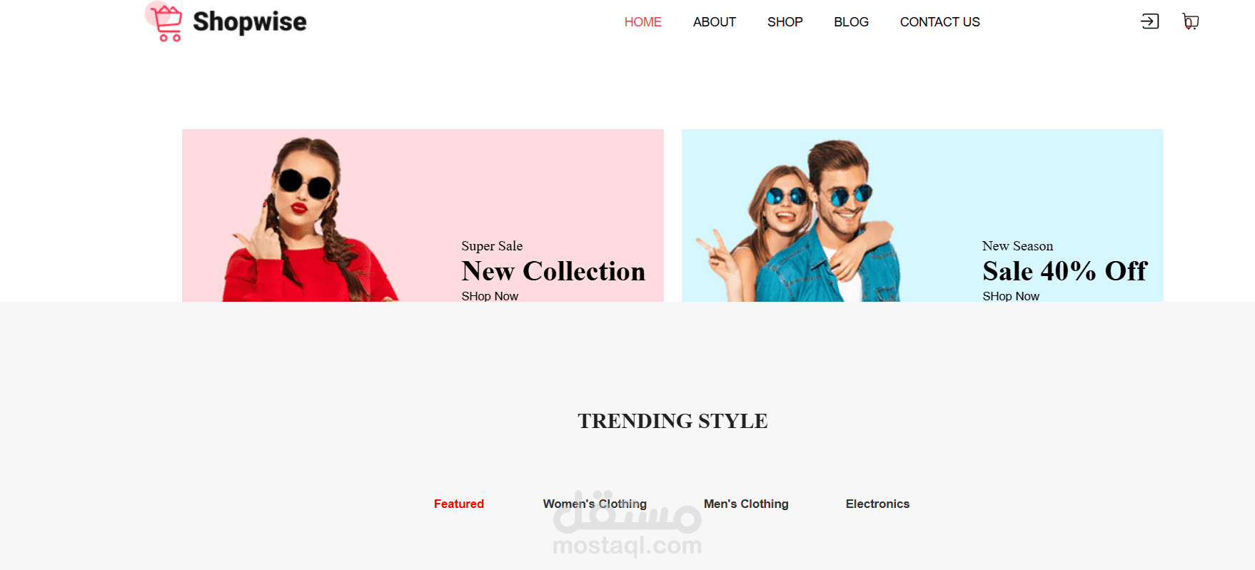 تطوير منصة تجارة إلكترونية (E-Commerce Platform)