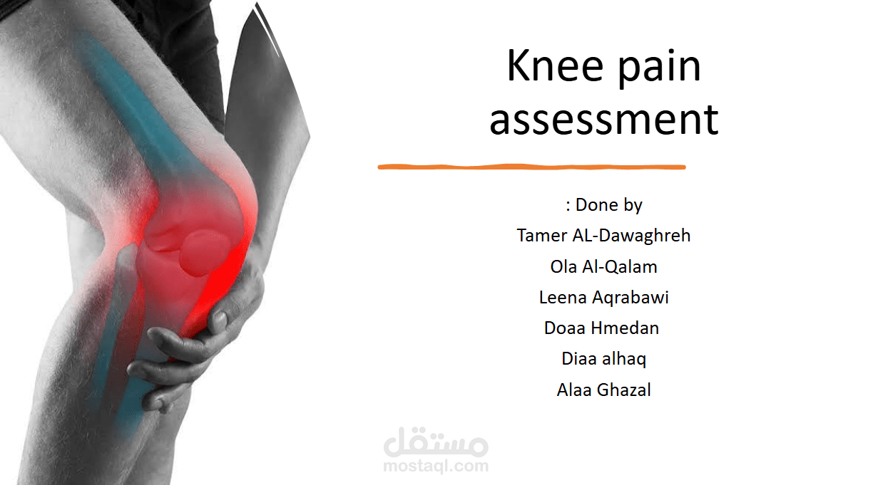 تشريح الركبة | Knee Anatomy