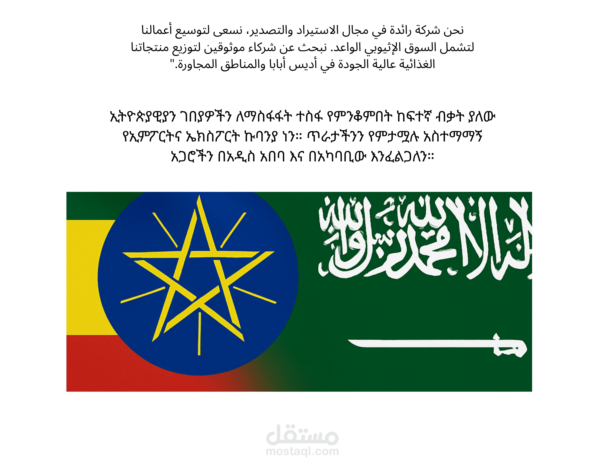 "ترجمة وتوطين محتوى تجاري (عربي - أمهري)".