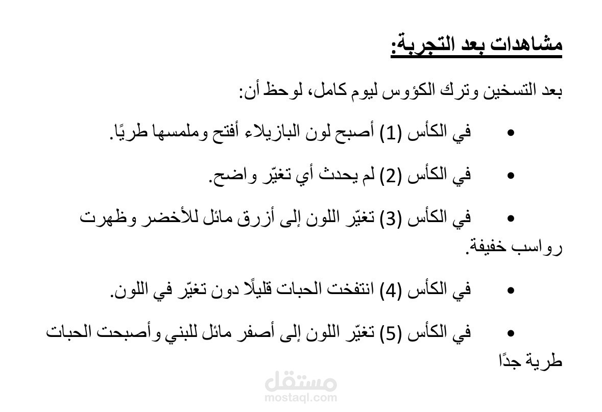 تفريغ وتنسيق أبحاث وكتب مدرسية بصيغة Word.