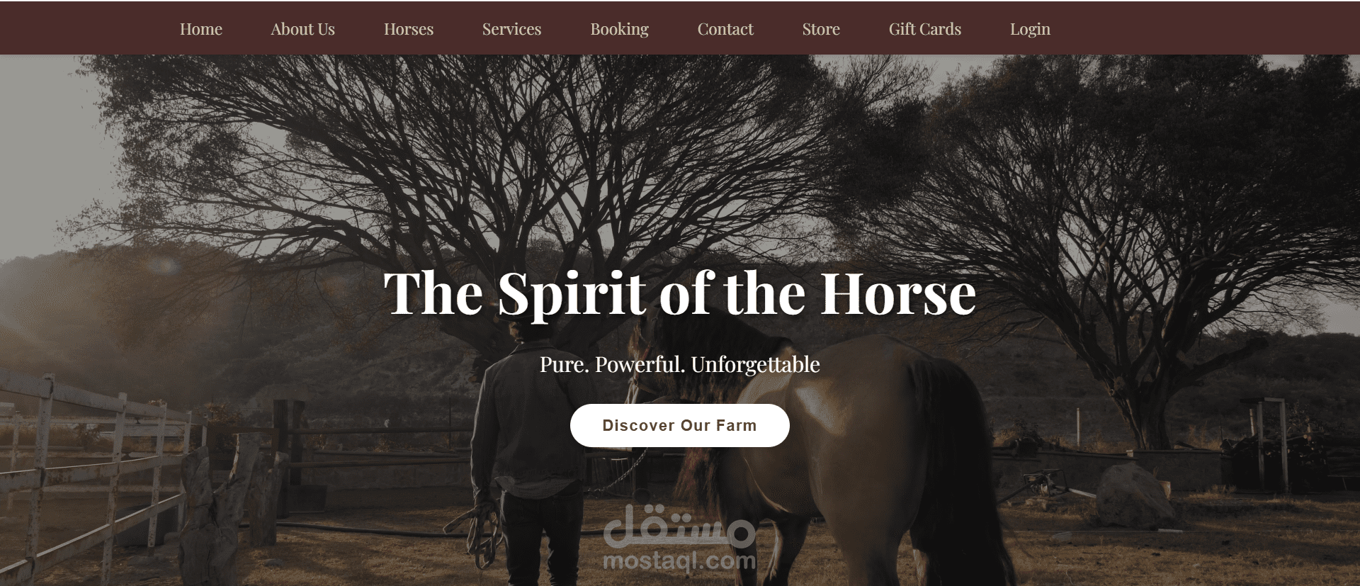 Arabian Horse Farm