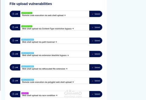 File Upload Vulnerabilities