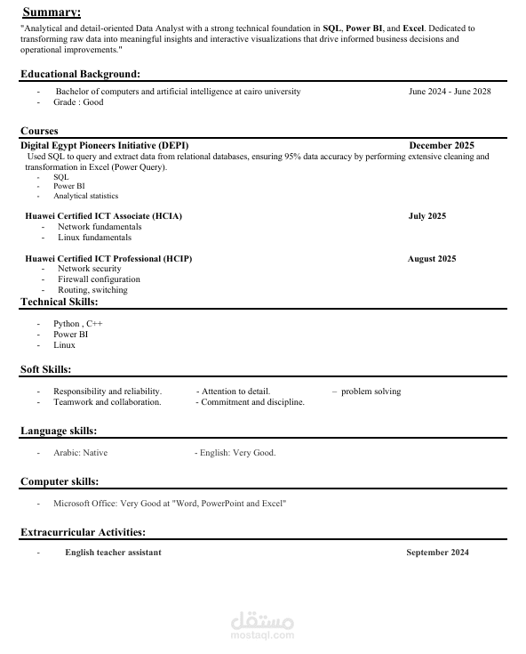 create a professional CV