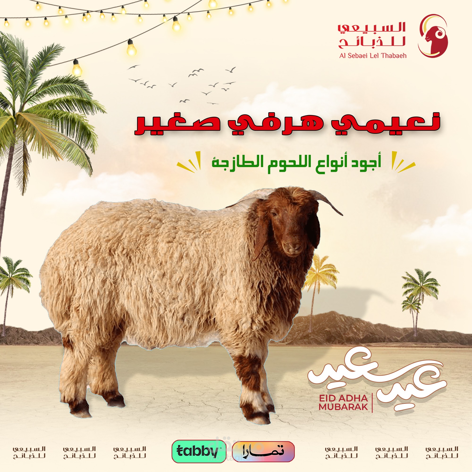 اضاحي العيد