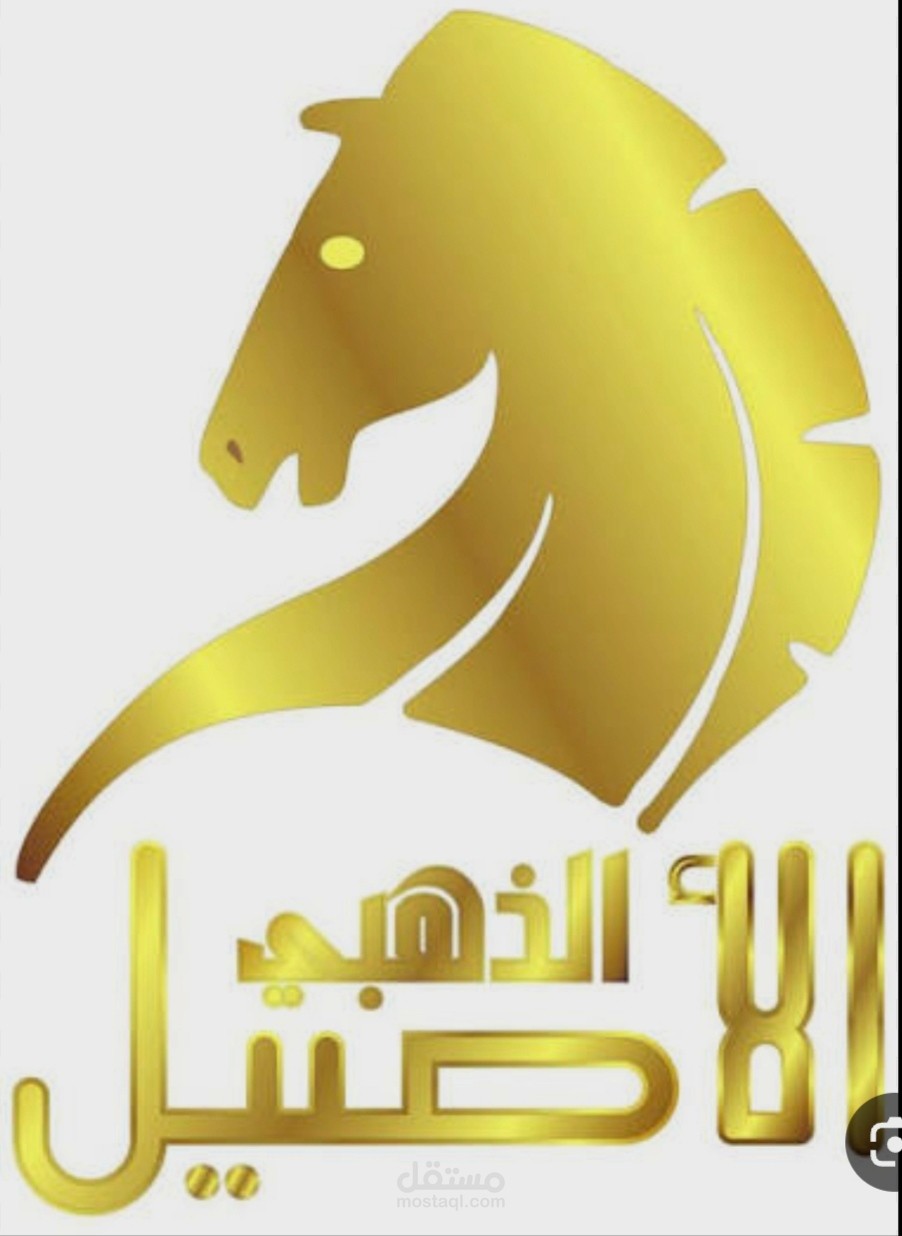 دليل حسابات على برنامج الاصيل الذهبي