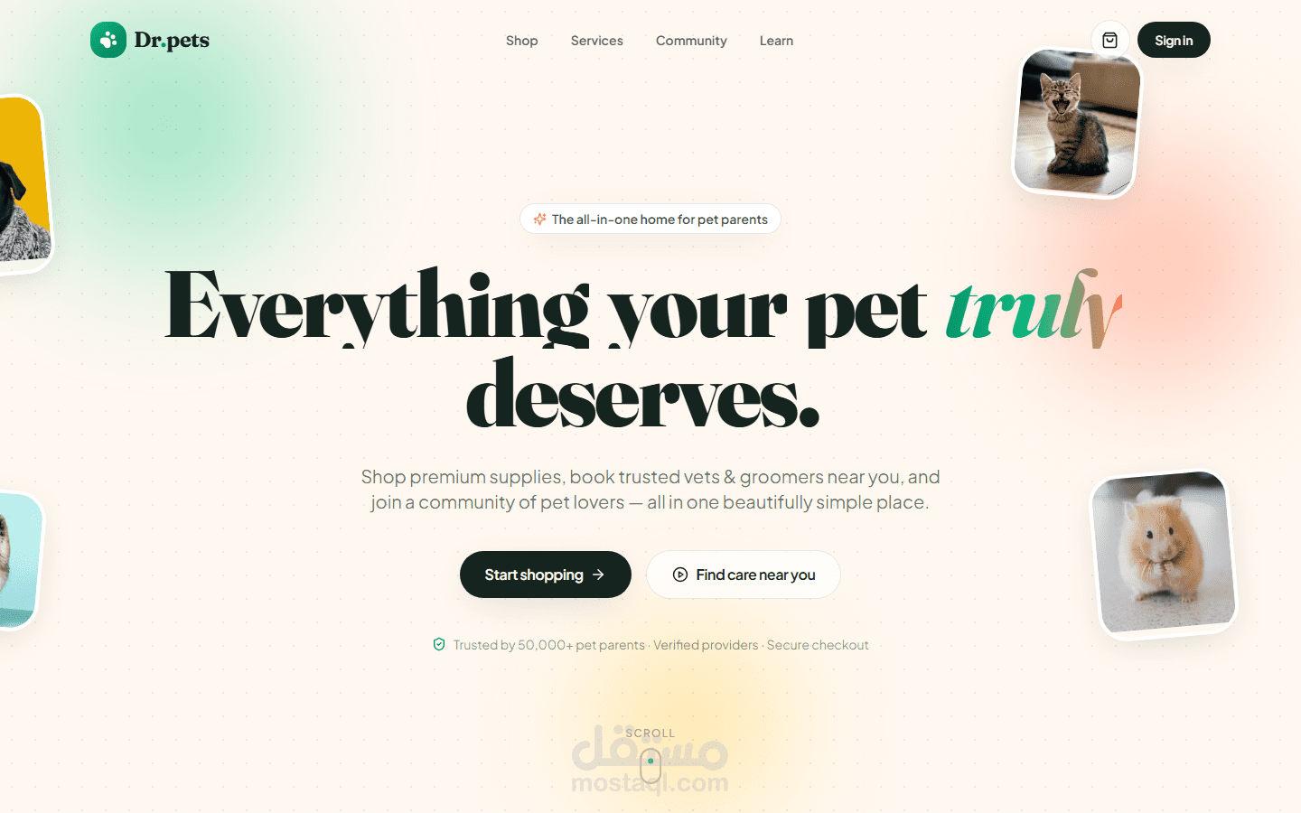 Dr.pets — منصة تجمع متجر المستلزمات وحجز المواعيد بواجهة React و API مستقل
