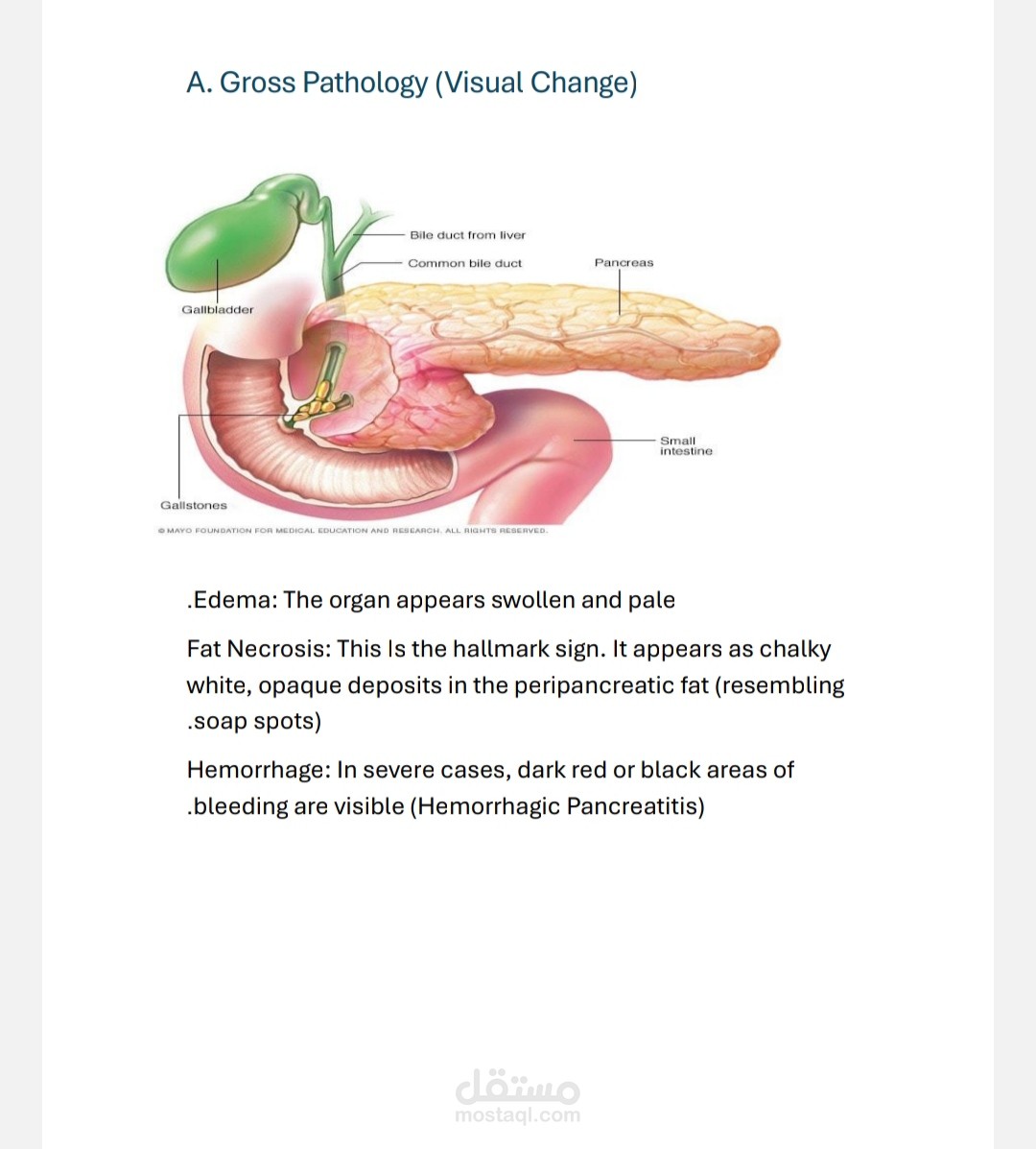 مدخل بيانات سريع ودقيق | تفريغ وتحويل ملفات باحتراف