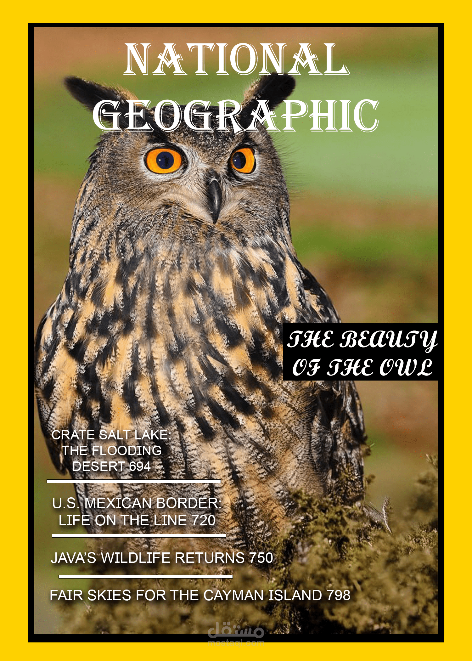 سلسلة تصاميم دمج خيالية