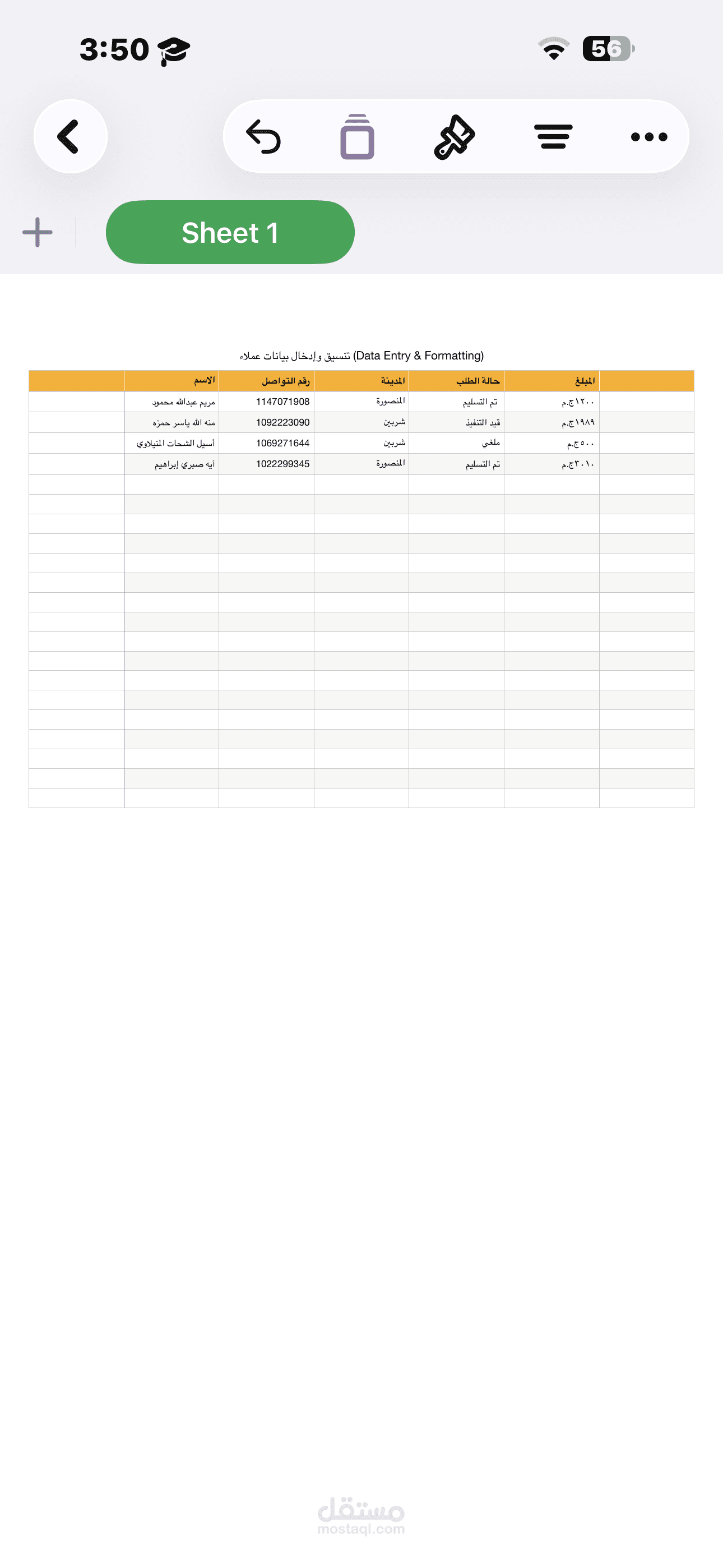 تنسيق وإدخال بيانات عملاء (Data Entry & Formatting)