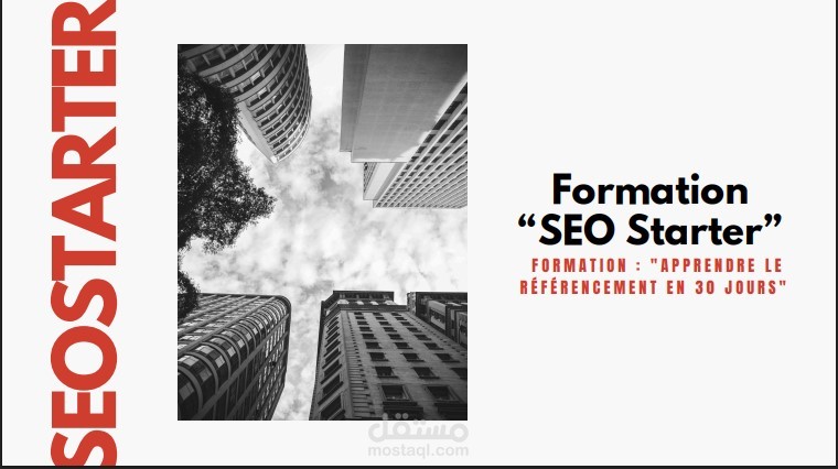 تصميم دليل شامل لتحسين محركات البحث (SEO Starter Guide)