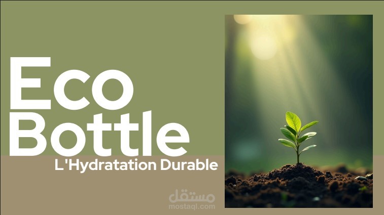 تصميم وتنسيق محتوى تعليمي/تجاري (Ecoh)