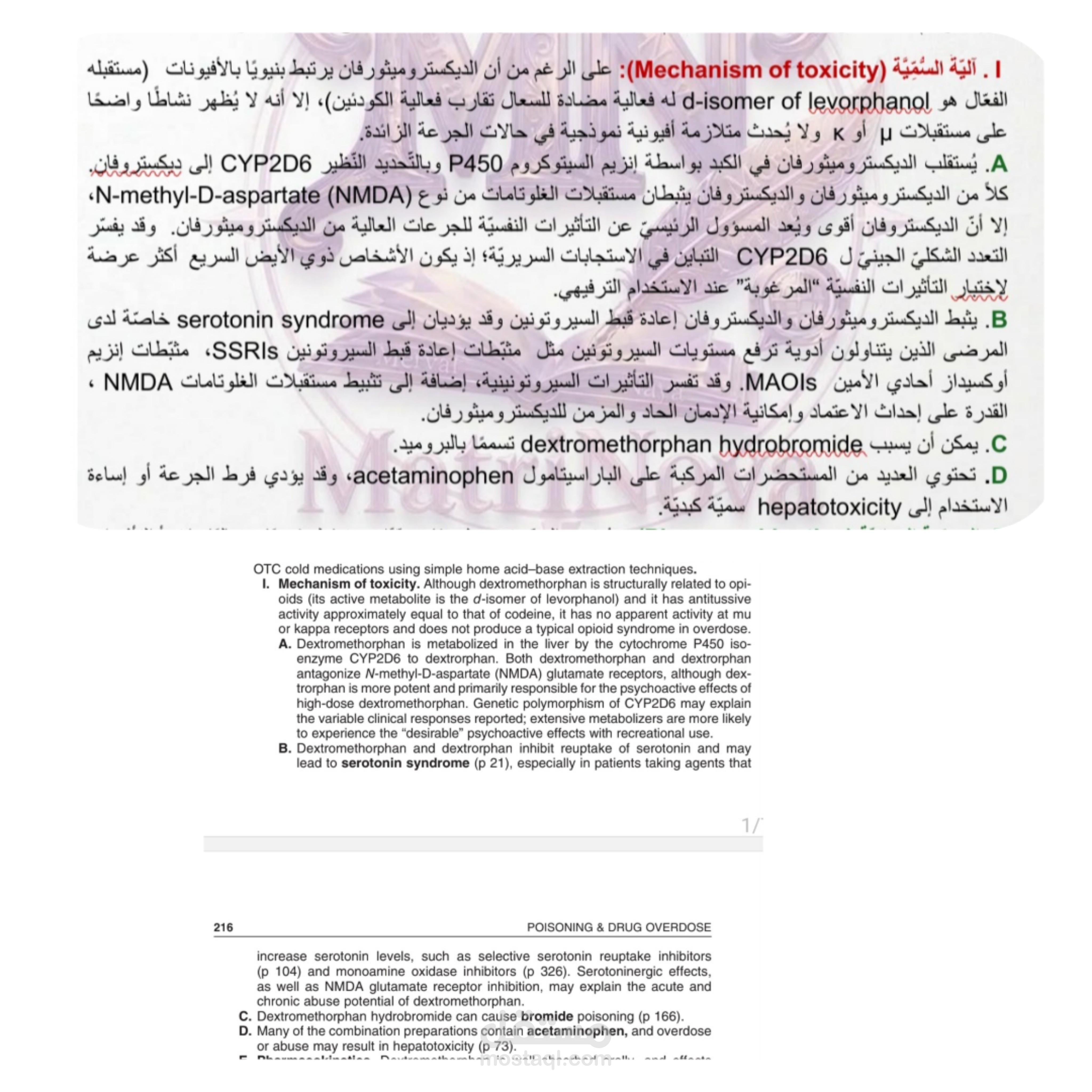 ترجمة لفقرة من مرجع.