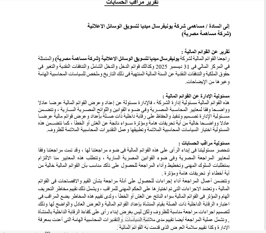 Financial Audit Report