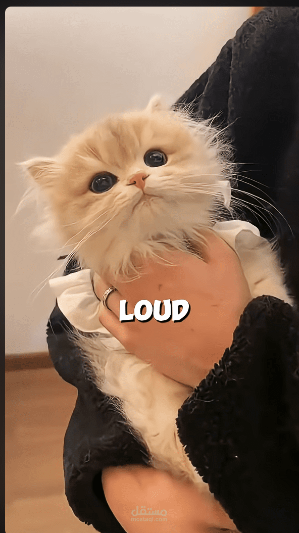 تصميم فيديو قصير جذاب  (YouTube Shorts)