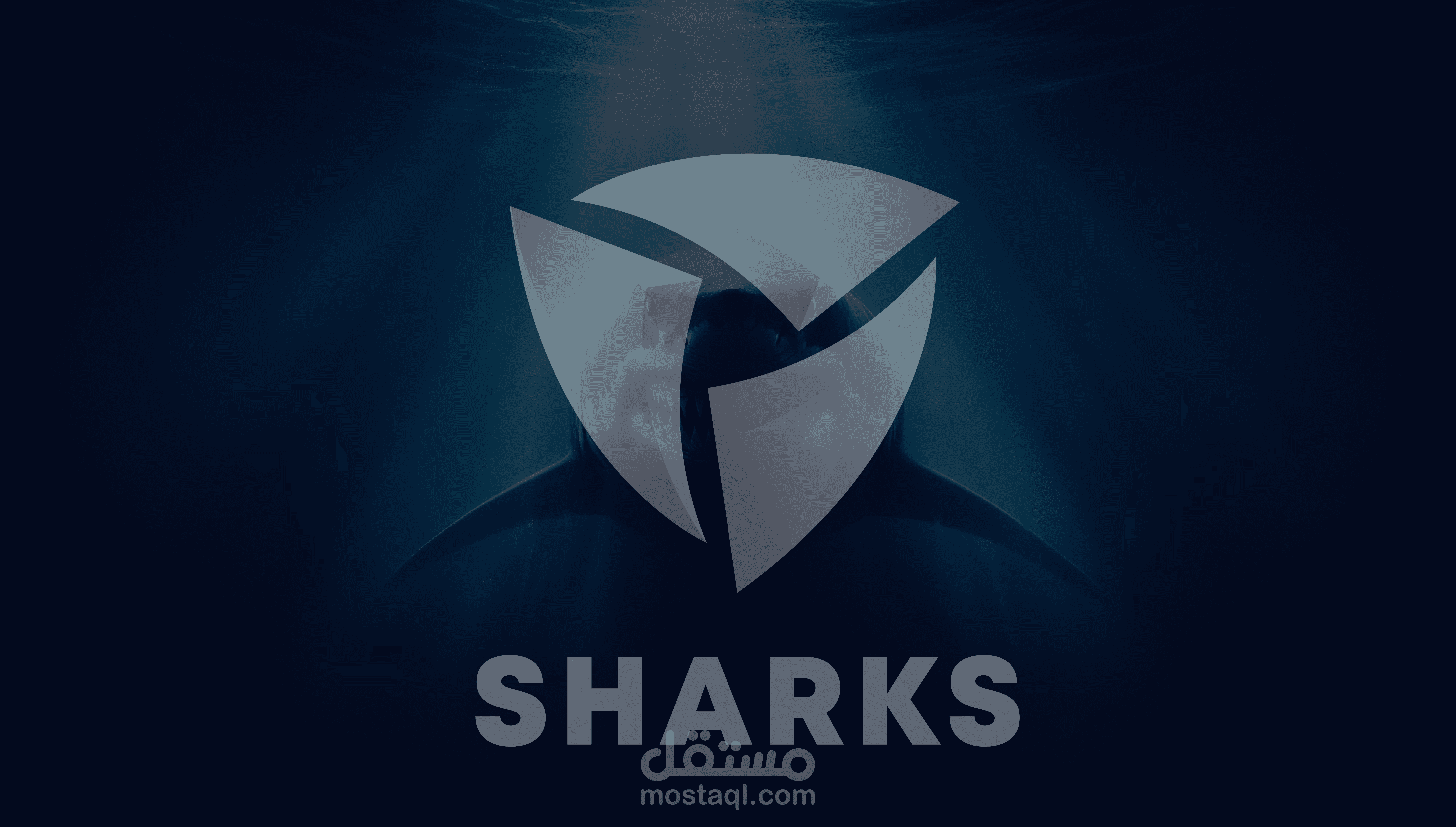 "logo design and brand identity for "Sharks Company