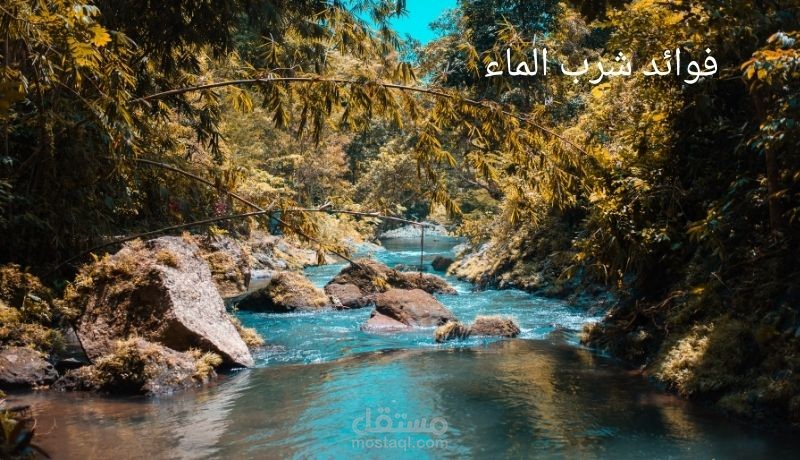تفريغ فيديو: أهمية شرب الماء