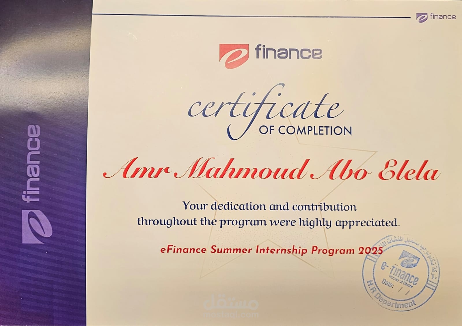 مدخل بيانات