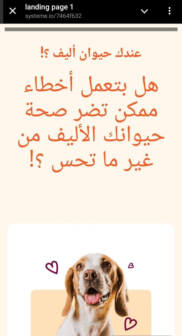 تصميم صفحة هبوط (Landing Page) لجمع بيانات العملاء واستراتيجية Lead Magnet لعيادة Pets Animals.
